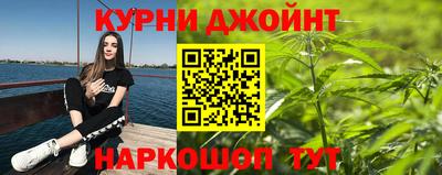 каннабис Новозыбков