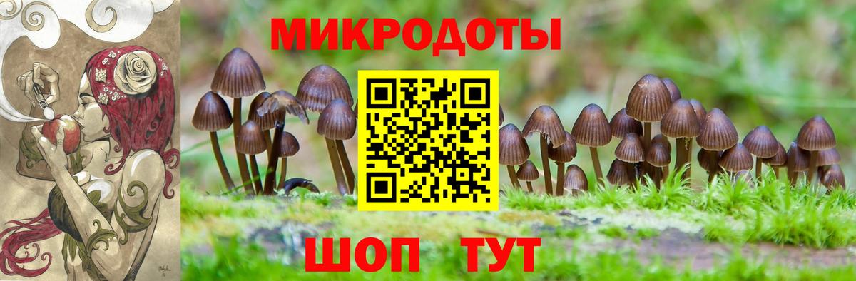 Псилоцибиновые грибы Psilocybine cubensis  Вход с VPN  Шадринск 
